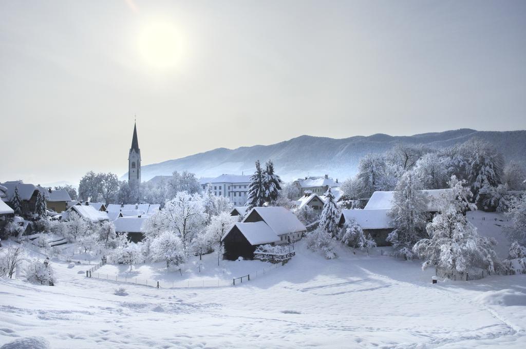 Vila Sejalec Villa Lesce  Kültér fotó