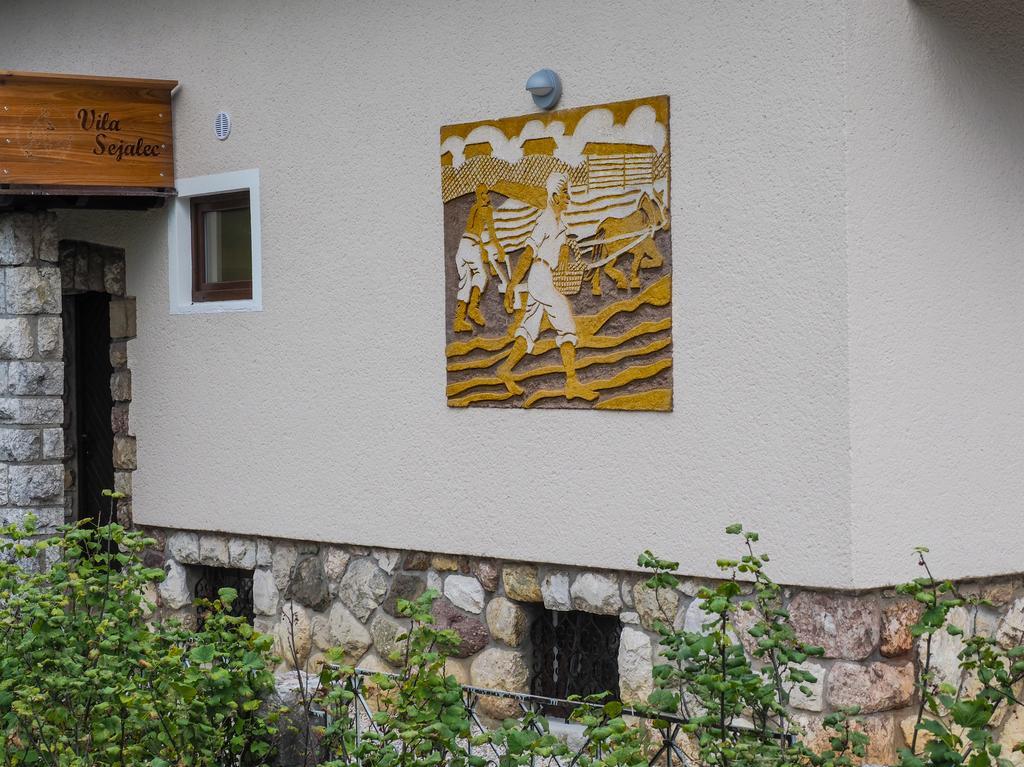 Vila Sejalec Villa Lesce  Kültér fotó